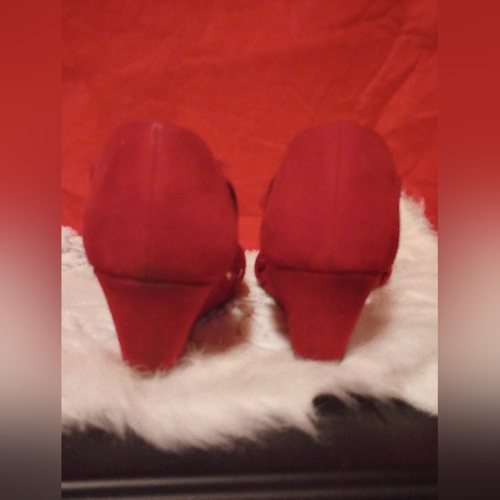 Red Wedges - Picture 6 of 7